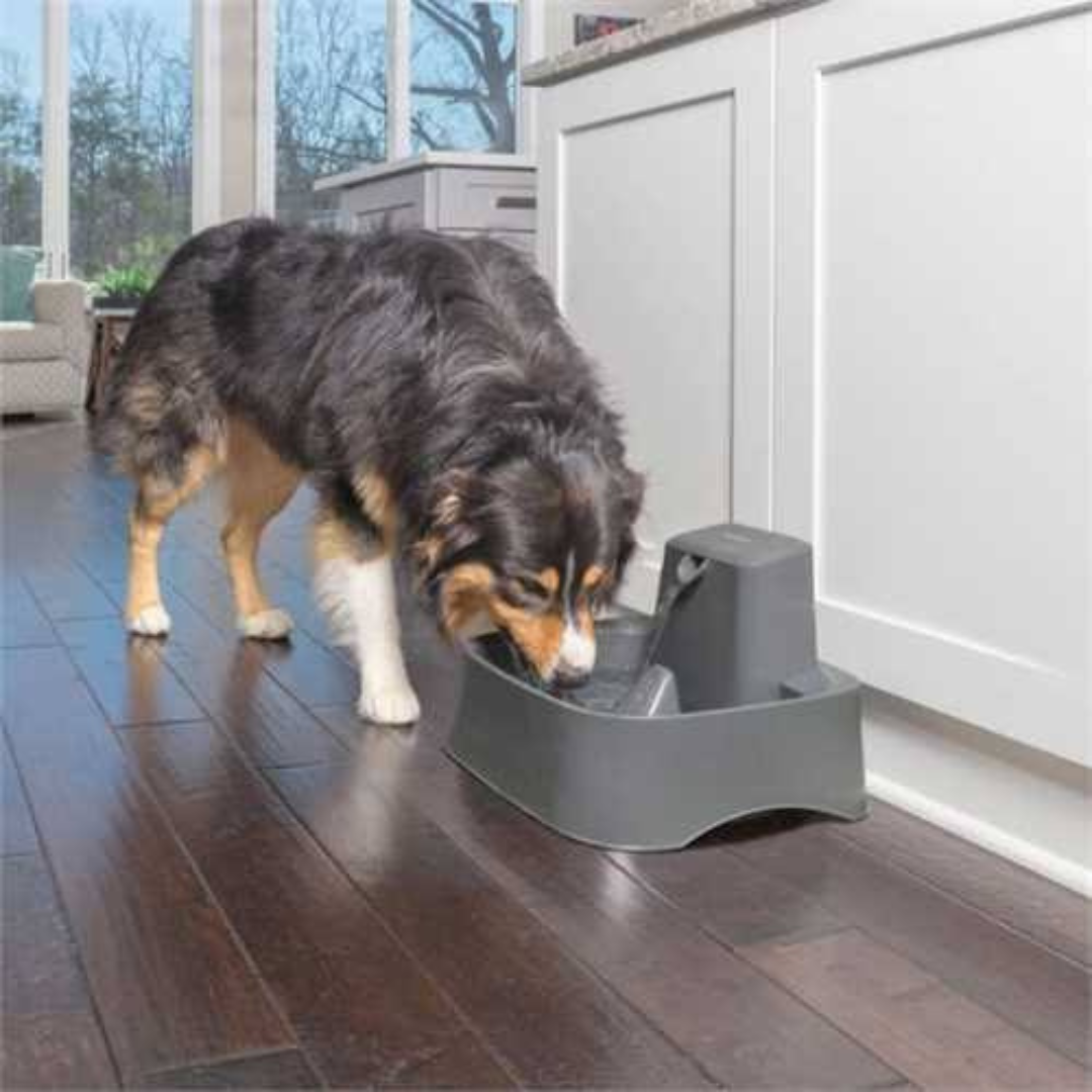 PetSafe Drinkwell 1.8L Water Fountain for Cats & Small Dogs