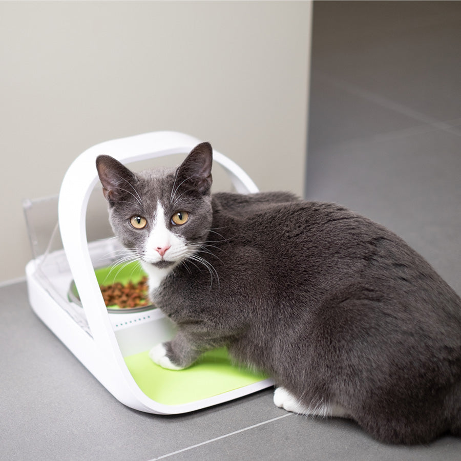 SureFeed Connect Microchip Pet Feeder – White