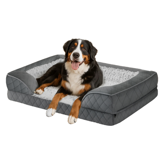 XXL Dog Bed Memory Foam