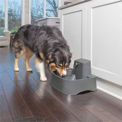 PetSafe Drinkwell 1.8L Water Fountain for Cats & Small Dogs