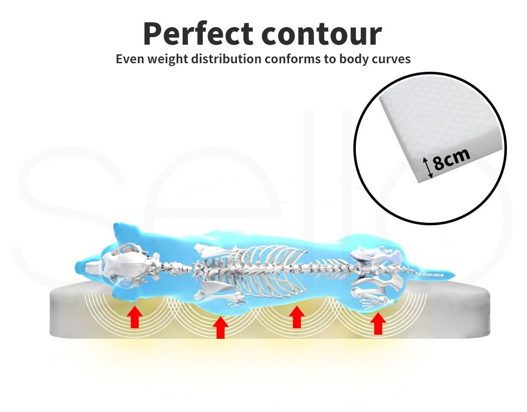 XL Pet Bed Foam
